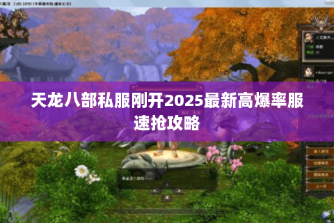 天龙八部私服刚开2025最新高爆率服速抢攻略 天龙八部私服刚开2025最新高爆率服速抢攻略