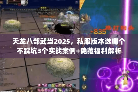天龙八部武当2025,私服版本选哪个不踩坑3个实战案例+隐藏福利解析 天龙八部武当2025,私服版本选哪个不踩坑3个实战案例+隐藏福利解析