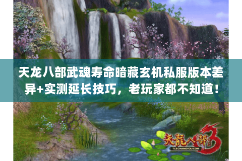天龙八部武魂寿命暗藏玄机私服版本差异+实测延长技巧,老玩家都不知道! 天龙八部武魂寿命暗藏玄机私服版本差异+实测延长技巧,老玩家都不知道!