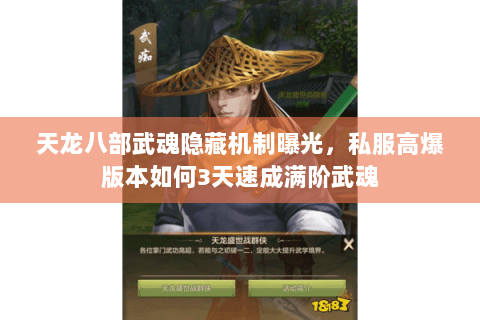 天龙八部武魂隐藏机制曝光，私服高爆版本如何3天速成满阶武魂