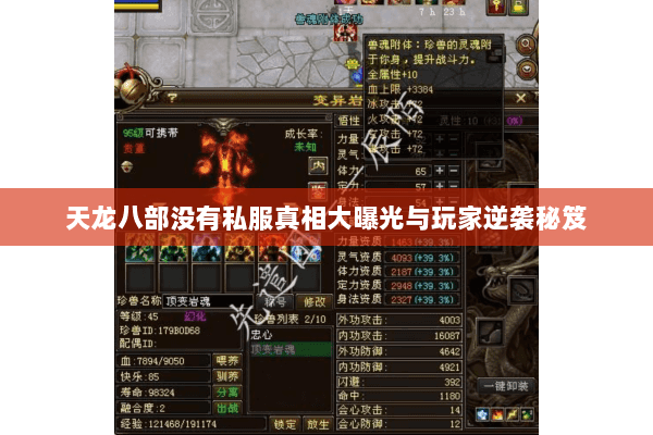 天龙八部没有私服真相大曝光与玩家逆袭秘笈 天龙八部没有私服真相大曝光与玩家逆袭秘笈