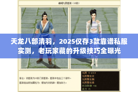 天龙八部清羽，2025仅存3款靠谱私服实测，老玩家藏的升级技巧全曝光