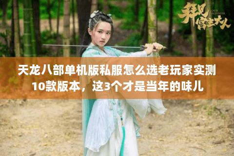 天龙八部单机版私服怎么选老玩家实测10款版本,这3个才是当年的味儿 天龙八部单机版私服怎么选老玩家实测10款版本,这3个才是当年的味儿