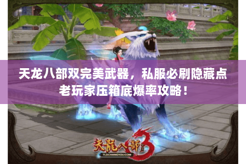 天龙八部双完美武器,私服必刷隐藏点老玩家压箱底爆率攻略! 天龙八部双完美武器,私服必刷隐藏点老玩家压箱底爆率攻略!