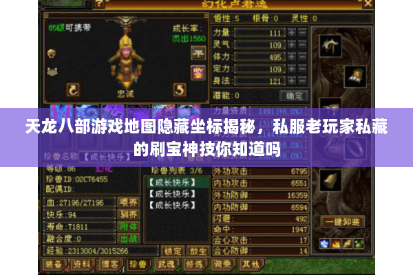 天龙八部游戏地图隐藏坐标揭秘，私服老玩家私藏的刷宝神技你知道吗