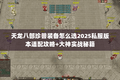 天龙八部珍兽装备怎么选2025私服版本适配攻略+大神实战秘籍 天龙八部珍兽装备怎么选2025私服版本适配攻略+大神实战秘籍