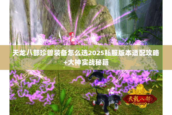 天龙八部珍兽装备怎么选2025私服版本适配攻略+大神实战秘籍 天龙八部珍兽装备怎么选2025私服版本适配攻略+大神实战秘籍