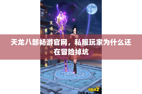 天龙八部畅游官网,私服玩家为什么还在冒险掉坑 天龙八部畅游官网,私服玩家为什么还在冒险掉坑