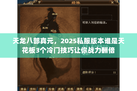 天龙八部真元,2025私服版本谁是天花板3个冷门技巧让你战力翻倍 天龙八部真元,2025私服版本谁是天花板3个冷门技巧让你战力翻倍