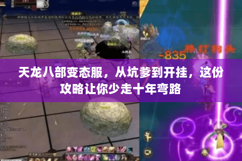 天龙八部变态服,从坑爹到开挂,这份攻略让你少走十年弯路 天龙八部变态服,从坑爹到开挂,这份攻略让你少走十年弯路