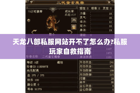 天龙八部私服网站开不了怎么办?私服玩家自救指南