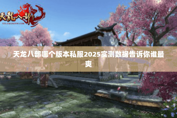 天龙八部哪个版本私服2025实测数据告诉你谁最爽