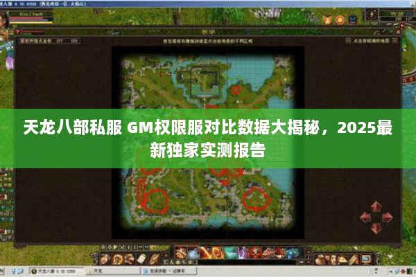 天龙八部私服 GM权限服对比数据大揭秘,2025最新独家实测报告 天龙八部私服 GM权限服对比数据大揭秘,2025最新独家实测报告