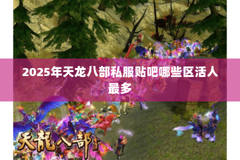 2025年天龙八部私服贴吧哪些区活人最多 2025年天龙八部私服贴吧哪些区活人最多