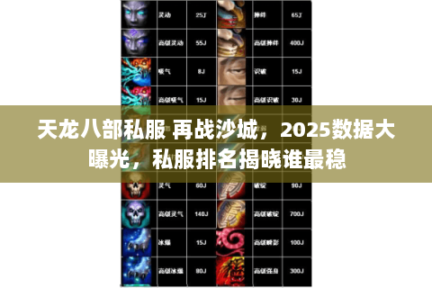 天龙八部私服 再战沙城，2025数据大曝光，私服排名揭晓谁最稳