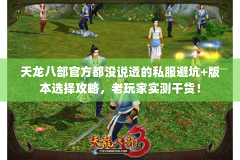 天龙八部官方都没说透的私服避坑+版本选择攻略,老玩家实测干货! 天龙八部官方都没说透的私服避坑+版本选择攻略,老玩家实测干货!
