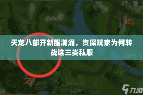 天龙八部开新服潮涌,资深玩家为何转战这三类私服 天龙八部开新服潮涌,资深玩家为何转战这三类私服