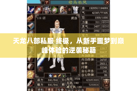 天龙八部私服 终极,从新手噩梦到巅峰体验的逆袭秘籍 天龙八部私服 终极,从新手噩梦到巅峰体验的逆袭秘籍