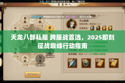 天龙八部私服 跨服战首选,2025即刻征战巅峰行动指南 天龙八部私服 跨服战首选,2025即刻征战巅峰行动指南