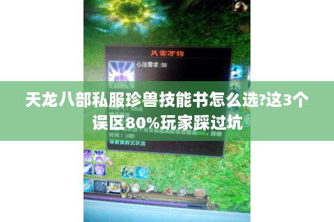 天龙八部私服珍兽技能书怎么选?这3个误区80%玩家踩过坑 天龙八部私服珍兽技能书怎么选?这3个误区80%玩家踩过坑