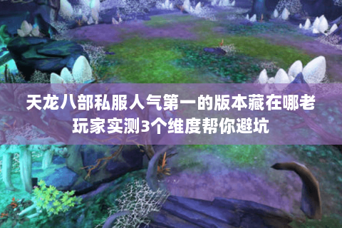 天龙八部私服人气第一的版本藏在哪老玩家实测3个维度帮你避坑 天龙八部私服人气第一的版本藏在哪老玩家实测3个维度帮你避坑