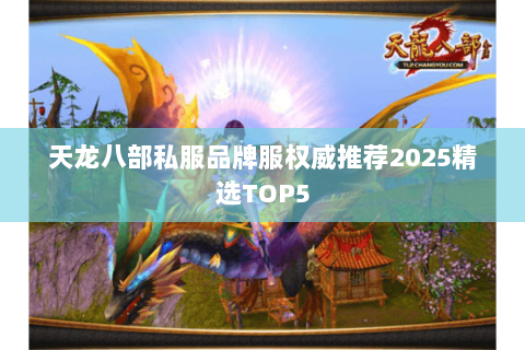 天龙八部私服品牌服权威推荐2025精选TOP5 天龙八部私服品牌服权威推荐2025精选TOP5