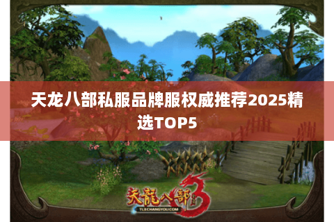 天龙八部私服品牌服权威推荐2025精选TOP5 天龙八部私服品牌服权威推荐2025精选TOP5