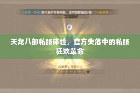 天龙八部私服体验,官方失落中的私服狂欢革命 天龙八部私服体验,官方失落中的私服狂欢革命