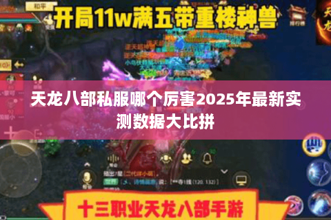 天龙八部私服哪个厉害2025年最新实测数据大比拼 天龙八部私服哪个厉害2025年最新实测数据大比拼