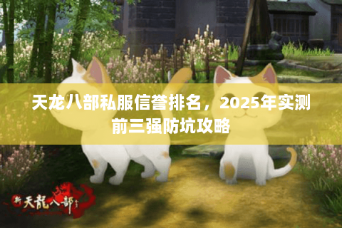 天龙八部私服信誉排名，2025年实测前三强防坑攻略