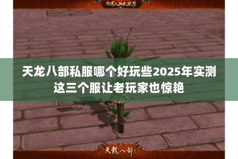 天龙八部私服哪个好玩些2025年实测这三个服让老玩家也惊艳 天龙八部私服哪个好玩些2025年实测这三个服让老玩家也惊艳