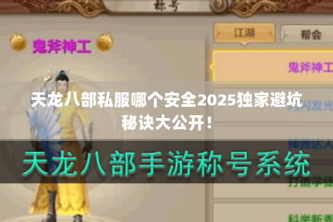 天龙八部私服哪个安全2025独家避坑秘诀大公开！