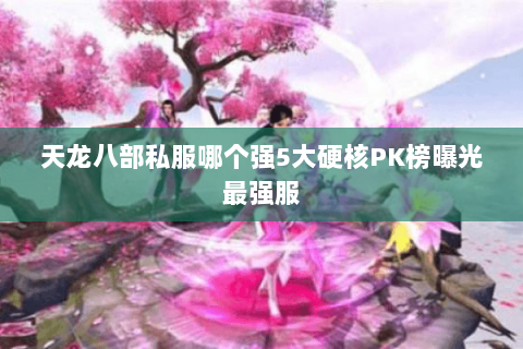 天龙八部私服哪个强5大硬核PK榜曝光最强服 天龙八部私服哪个强5大硬核PK榜曝光最强服