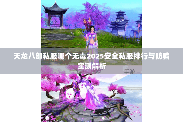 天龙八部私服哪个无毒2025安全私服排行与防骗实测解析 天龙八部私服哪个无毒2025安全私服排行与防骗实测解析