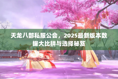 天龙八部私服公会,2025最新版本数据大比拼与选择秘笈 天龙八部私服公会,2025最新版本数据大比拼与选择秘笈