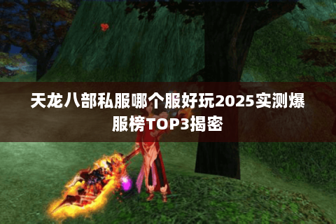 天龙八部私服哪个服好玩2025实测爆服榜TOP3揭密 天龙八部私服哪个服好玩2025实测爆服榜TOP3揭密