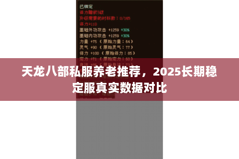 天龙八部私服养老推荐,2025长期稳定服真实数据对比 天龙八部私服养老推荐,2025长期稳定服真实数据对比