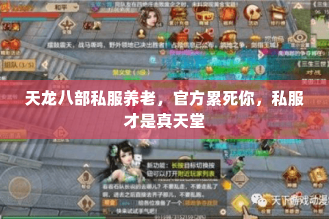 天龙八部私服养老,官方累死你,私服才是真天堂 天龙八部私服养老,官方累死你,私服才是真天堂