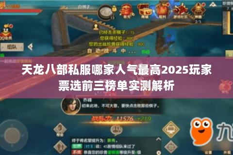 天龙八部私服哪家人气最高2025玩家票选前三榜单实测解析