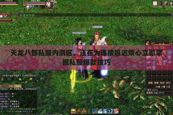 天龙八部私服内测区,还在为连接延迟烦心立即掌握私服爆款技巧 天龙八部私服内测区,还在为连接延迟烦心立即掌握私服爆款技巧
