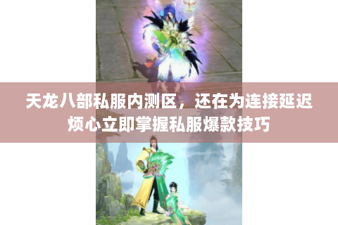 天龙八部私服内测区,还在为连接延迟烦心立即掌握私服爆款技巧 天龙八部私服内测区,还在为连接延迟烦心立即掌握私服爆款技巧