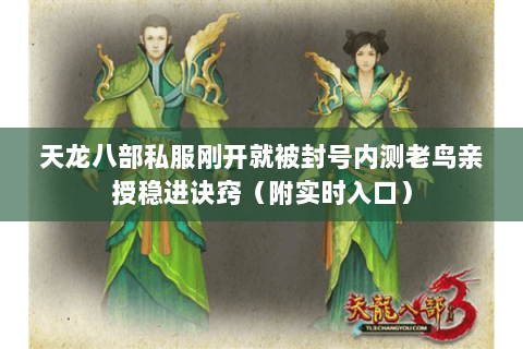 天龙八部私服刚开就被封号内测老鸟亲授稳进诀窍（附实时入口）