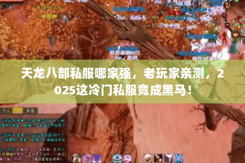 天龙八部私服哪家强,老玩家亲测,2025这冷门私服竟成黑马! 天龙八部私服哪家强,老玩家亲测,2025这冷门私服竟成黑马!