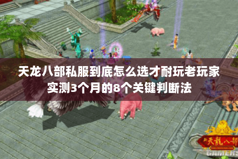 天龙八部私服到底怎么选才耐玩老玩家实测3个月的8个关键判断法 天龙八部私服到底怎么选才耐玩老玩家实测3个月的8个关键判断法