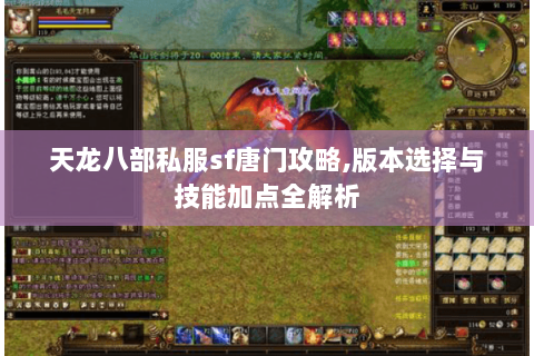 天龙八部私服sf唐门攻略,版本选择与技能加点全解析