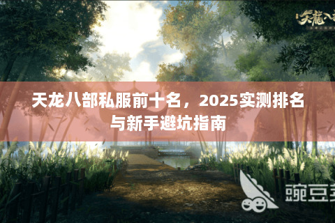 天龙八部私服前十名,2025实测排名与新手避坑指南 天龙八部私服前十名,2025实测排名与新手避坑指南