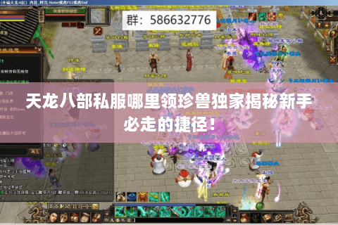 天龙八部私服哪里领珍兽独家揭秘新手必走的捷径! 天龙八部私服哪里领珍兽独家揭秘新手必走的捷径!