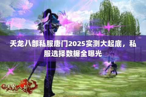 天龙八部私服唐门2025实测大起底,私服选择数据全曝光 天龙八部私服唐门2025实测大起底,私服选择数据全曝光