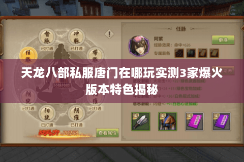 天龙八部私服唐门在哪玩实测3家爆火版本特色揭秘 天龙八部私服唐门在哪玩实测3家爆火版本特色揭秘