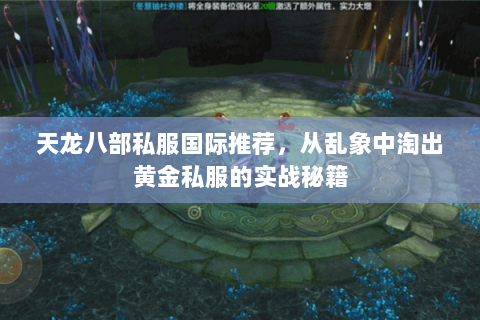 天龙八部私服国际推荐,从乱象中淘出黄金私服的实战秘籍 天龙八部私服国际推荐,从乱象中淘出黄金私服的实战秘籍